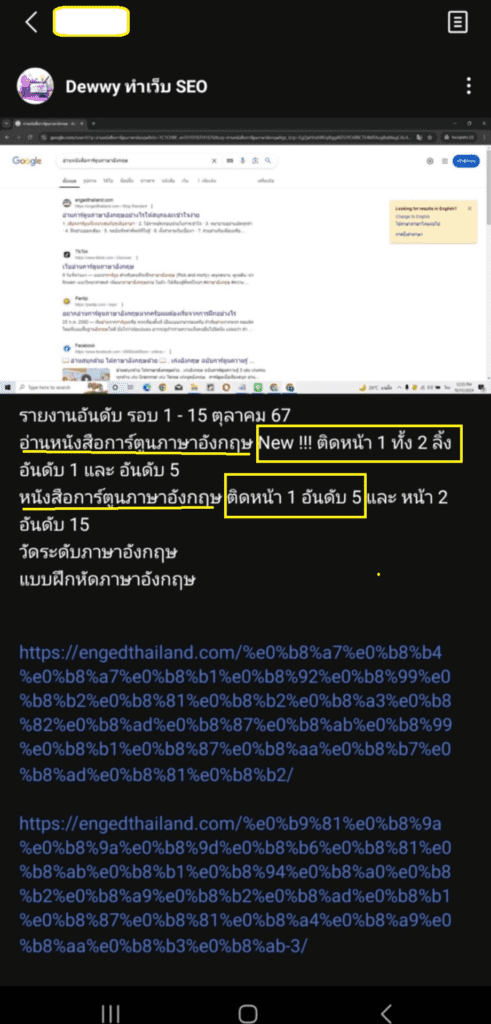 จัวอย่างงาน-seo-eng-491x1024
