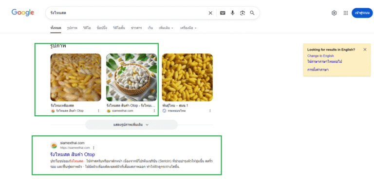 ตัวอย่างงาน-seo-768x368